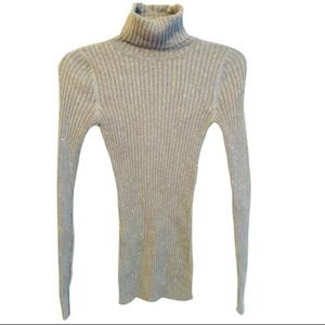 Express Turtle Neck Top